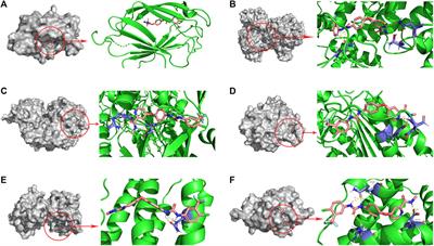 Comprehensive analysis of immunogenic cell death associated genes expression, tumor microenvironment, and prognosis in hepatocellular carcinoma